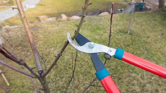 garten-eigener-pflege-gartenmoebel-einrichten-wohnen-01 Gartenschere